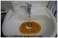 Cách làm sạch rêu trong đường ống nước hiệu quả nhất